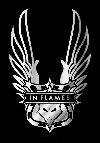 IN FLAMES (WINGS) Flag