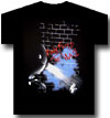 PINK FLOYD (WALL SPOTLIGHT)