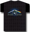 PINK FLOYD (WHOLESOME PRISM)