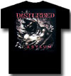 DISTURBED (BREAKOUT)