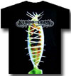 KINGS OF LEON (VENUS FLYTRAP)