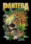 PANTERA (SKULL LEAF) Flag