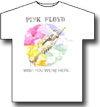 PINK FLOYD (SHINE ON)