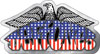 DEFTONES (EAGLE) Sticker