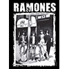 RAMONES (CBGB) Flag